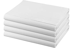 HAKZEON Xuan Paper: 400 Sheets for Refined Chinese and Japanese Calligraphy