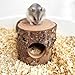 Ornaous Natural Wood Hideout for Dwarf Hamster, Pet Rat Wooden Log Hide Out for Small Animals Gerbil Robo Syrian Hamster Cage Accessories