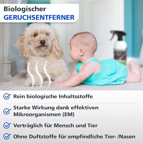 Coverax BIO Geruchsentferner mit angenehmem Duft I Enzymreiniger & Geruchsneutralisierer I Katzenurin, Hundeurin, strenge Gerüche entfernen auf Couch, Auto, Teppich I Geruchsneutralisierer Spray 500ml