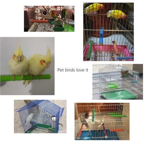 Image of Hamiledyi Bird Perches for Cage Grinding Sand Bird Perches 8pcs Claw Trim Cage Perches Stand for Starlings, Parakeets Lovebirds Canaries Green Cheeked Conures (0.78 in Diameter)