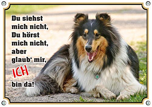 Petsigns Hundeschild mit dreifarbigem Collie - Metallschild 1,5 m dick - Premiumqualität, DIN A4 Cover