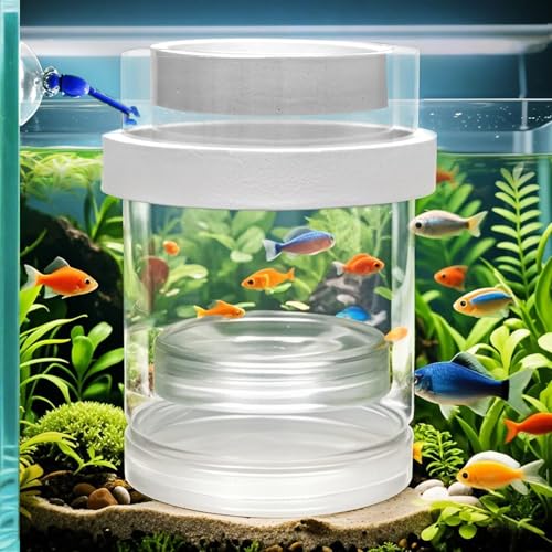 KOHUDIS Floating & Mountable Breeding Box – Safe Fry Nursery, Fish Isolation Tank (3.38”x3.38”x5.4”) (1 Set)