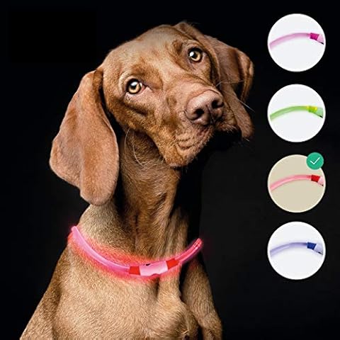 LED light collar for the Dog | Extra Bright | Long Lasting Optical Fiber | Rainproof | Light Collar Dog Long Hair and Short Hair | USB Rechargeable Cover