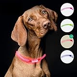 LIGHTWOLF: La luz intermitente ajustable en longitud para perros garantiza la mejor visibilidad en la oscuridad y en todas las condiciones climáticas