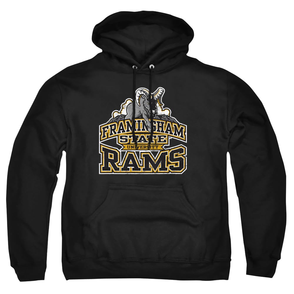 LOGOVISION Official Collegiate Distressed Primary Logo Adult Pullover Hoodie Collection — view 50