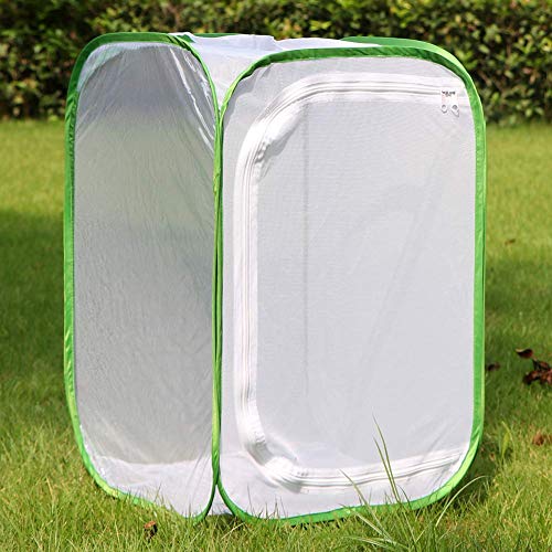 image for RESTCLOUD Professional Butterfly Habitat Insect Cage Caterpillar Enclo
