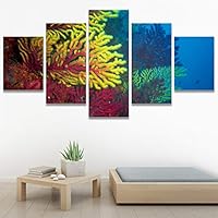 SIGNWIN 5 Panel Canvas Wall Art Group Jellyfish Marine Life Multicolor Photography Realism Tropical Ultra Whimsical for Home Decorations Ready to Hang - 60