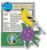 Washington State Montage Magnet by Classic Magnets, 2.7" x 3.2", Collectible 3D Rubber Vintage-Style Souvenirs and Gifts Made in the USA