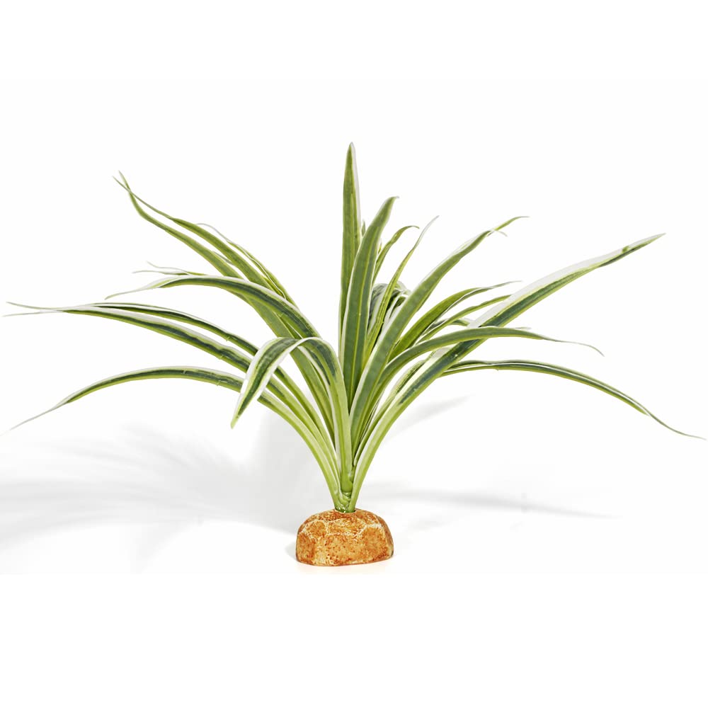 Artificial Spider Plants, Reptile Terrarium Decor, Bearded Dragon Tank Accessories fit Crested Gecko Leopard Lizard Chameleon Ball Python Snake Frog