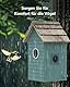 RAINBEAN Bird House with Camera,Nistkasten mit Kamera, 4 Millionen Pixel Outdoor-Vogelhaus-Kamera, Echtzeitbeobachtung des Nestbaus und der Brut von Vögeln, AI-Erkennung des Vogelverhaltens, DIY, Blue