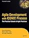 Agile Development with ICONIX Process: People, Process, and Pragmatism