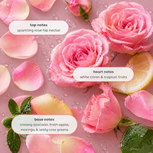 Image of Ginger Lily Farms Botanicals Shampoo, 128oz /4pk, Whispering Rose | 100% Vegan & Cruelty-Free | Moisturizing Shampoo for All Hair Types | Refill Size