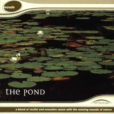 The Pond