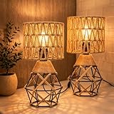 Hamilyeah Boho Table Lamps Set of 2, Industrial Bedside Lamps with Woven Shade, Farmhouse Lamps for Night Stands with On/Off Switch, Modern Simple Desk Lamps for Bedroom, Living Room, Office