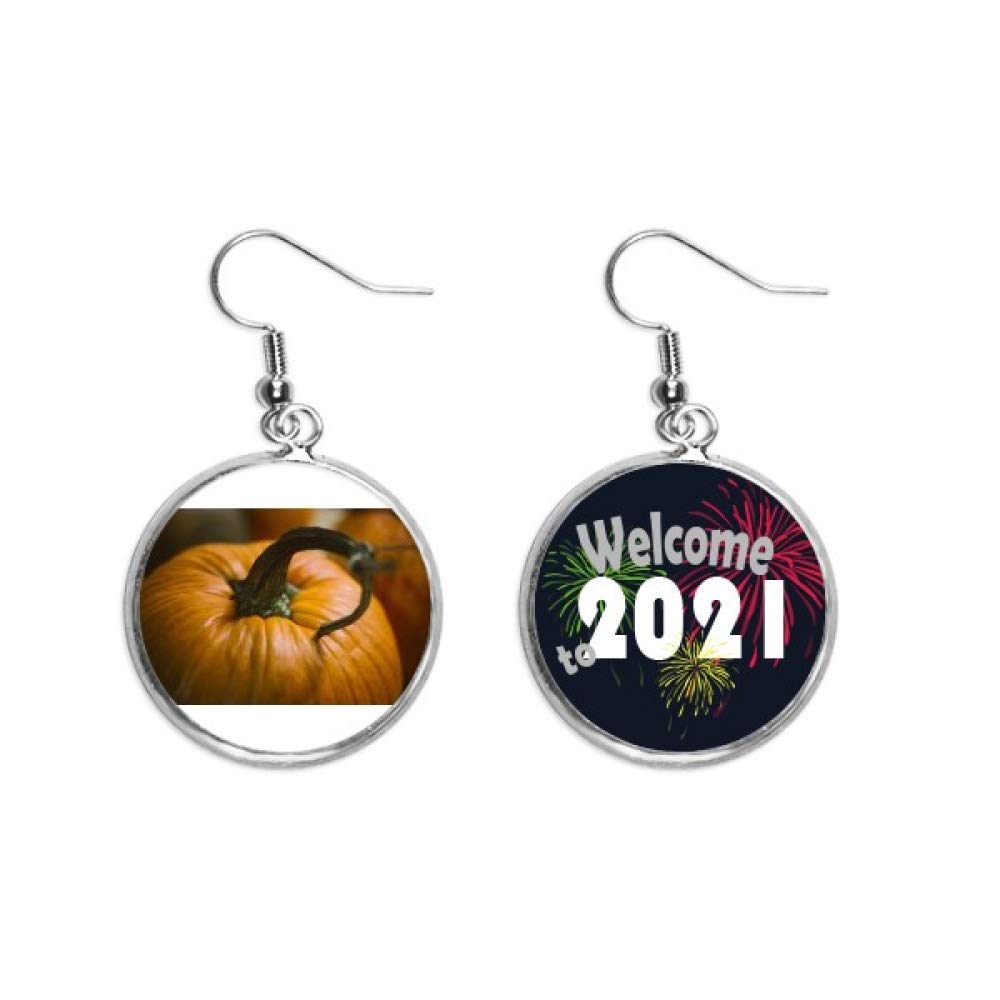 Pendientes de fotografía de naturaleza en plata el regalo perfecto 5