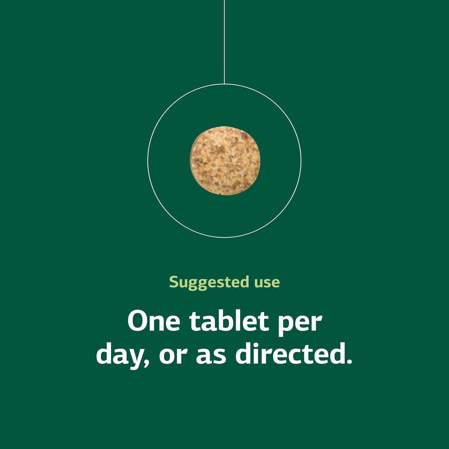 Standard Process B6-Niacinamide Energy Metabolism Health Dietary Support - Gluten-Free, Non-Dairy & Non-Soy - Cardiovascular Support - 330 Tablets