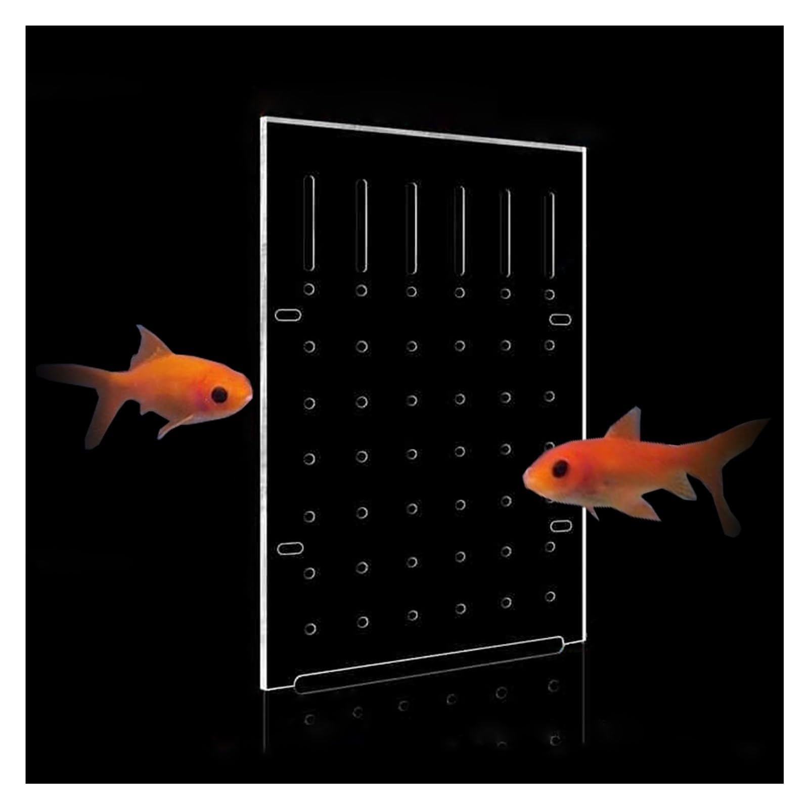 Divisor de Acuario Divisor de pecera transparente grande, divisor de acuario acrílico con ventosa, placa de rejilla de aislamiento para combatir peces enfermos, acuario fácil de doblar y montar(35x65c