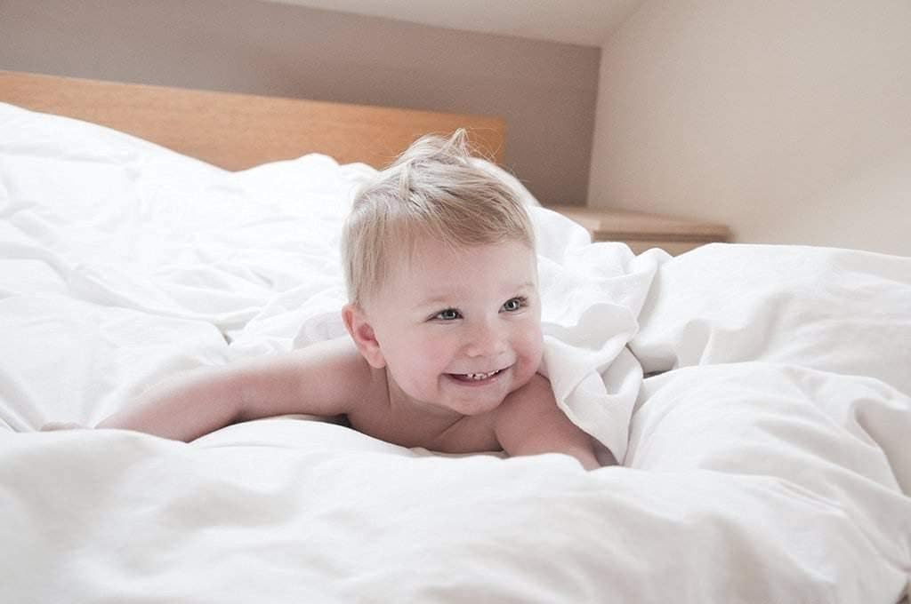 1-Piece All Season Luxurious 800TC Down Alternative Comforter, 100% Egyptian Cotton 100 GSM Comforter Only- Grand King Silver Grey Solid