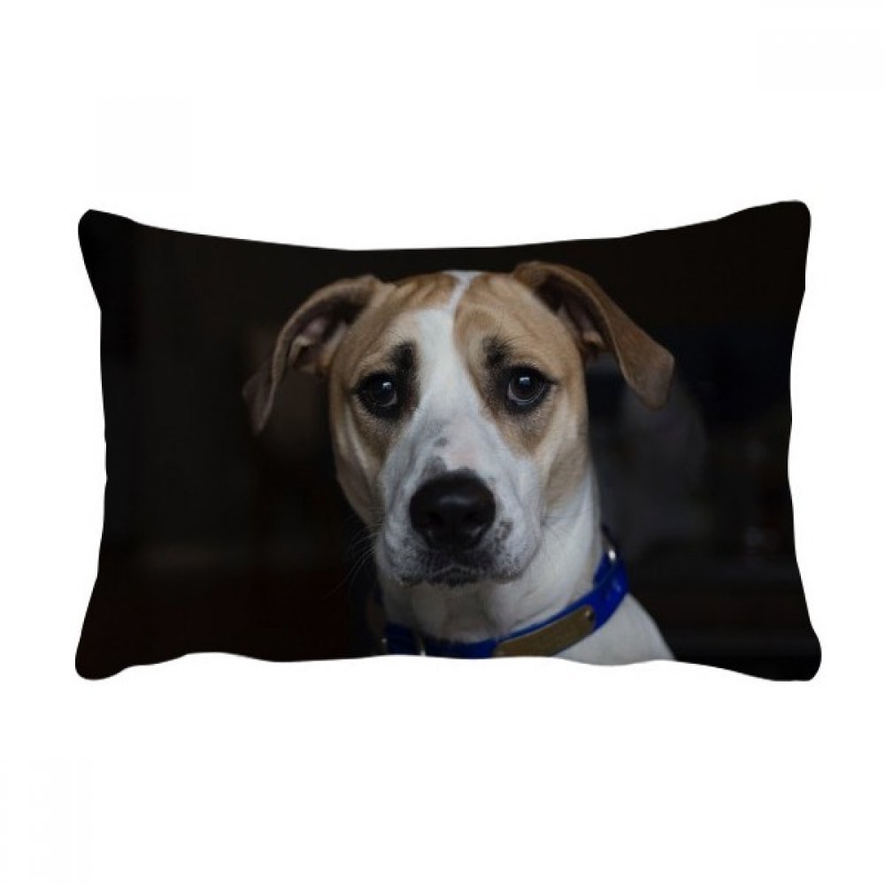 Oreiller lombaire de canapé multicolore avec motif de chien noir