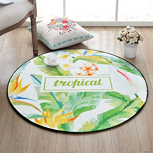 Tapis rond plante fraîche MU pour protéger le sol du salon