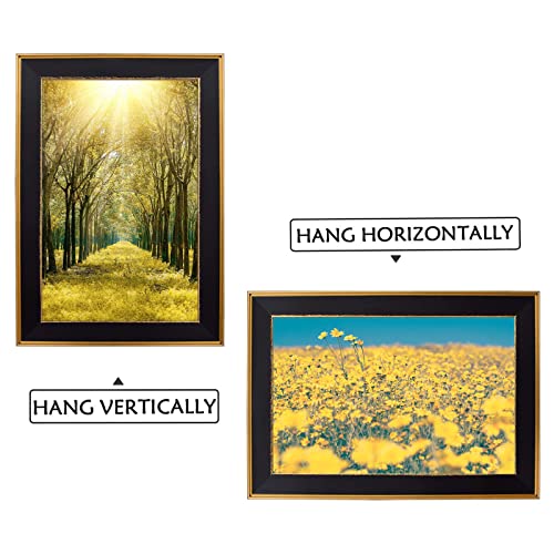Space Art Deco, 11X17 Classics Gold Design Black Picture Frame - Photo/Picture/Poster Display - Sawtooth Hangers And Wall Mount Shatter-Resistant Grass (11X17, Classic Gold Design) #TOP5