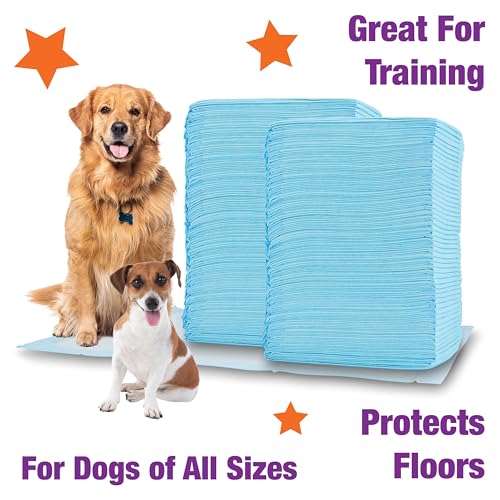 Image of Cudlie Absorbent Puppy Pads, 100 Count, 26 inchx30 inch - Perfect for Dog & Puppy Training and House Training