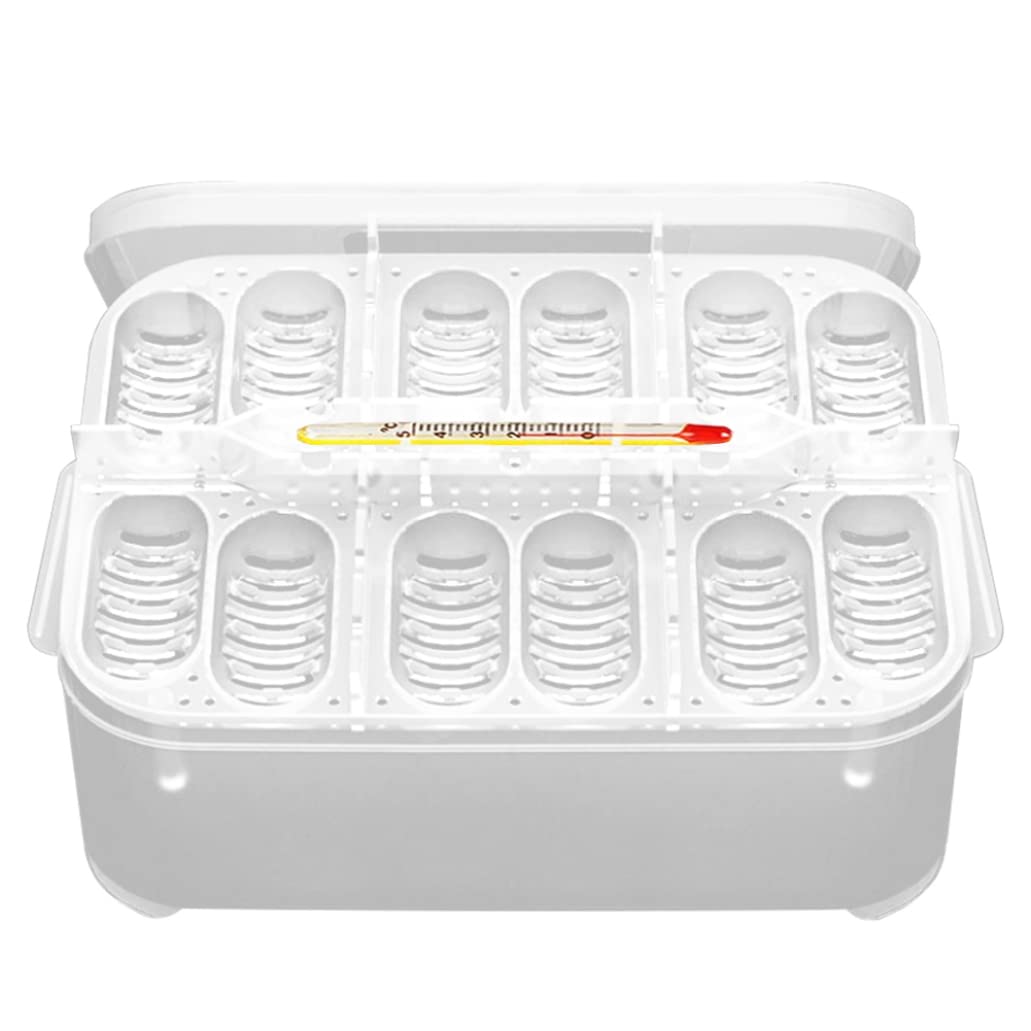Incubadora de Reptiles, Caja de incubación de Reptiles Reptile Incubator Bandeja de Huevo Bandeja con 12 cuadrículas para Tortuga Gecko Lizards Mane