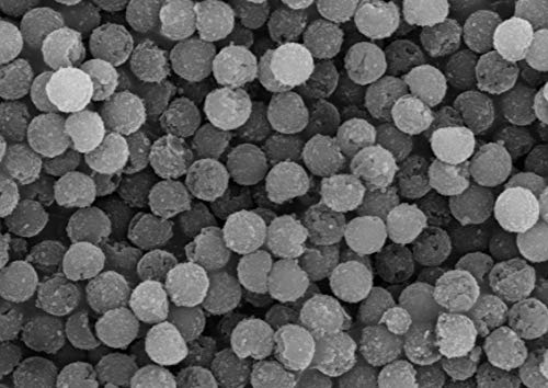 Perles de silice magnétique 5 um Alpha Nanotech en suspension de 50 mg/ml
