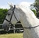 Rhinegold 0 Anatomic Cavesson Bridle-Cob-Havana Trense