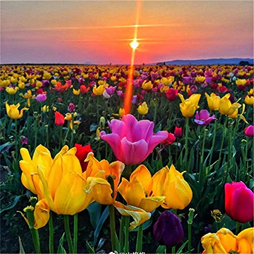 Rompecabezas de madera 4000 piezasPaisajeRompecabezas de madera, piezas únicas de rompecabezas, desafiantes juegos de rompecabezas de madera para la noche de juegos familiares, regalo de idea Cada