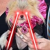 when i grow up i wanna be brandi glanville<3 [Explicit]