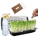 Microgreens Growing Kit - Organic Non GMO Seeds - Indoor Sprouting Greenhouse Tray - Radish Beets Kale Broccoli
