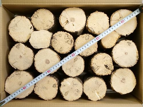 産卵木 Mサイズ 15〜18本入|クワガタ 繁殖用 ホダ木 クヌギ・コナラ混載材 幼虫割り出し対応 SR03