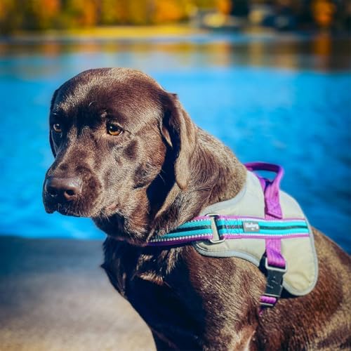 Harnais pour chien Blueberry Pet violet doux confortable réfléchissant taille M