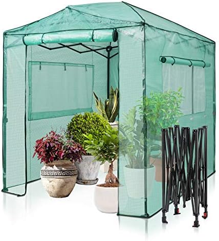 EAGLE PEAK 8' x 6' Portable Walk-in Greenhouse