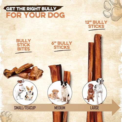 Brutus  Barnaby Bully Stick Bites  Grass Fed Low Odor Bully Stick Bites All Pure and Grain Free 1lb  Cucciolini Doodles Brutus  barnaby bully stick bites  grass fed low odor bully stick bites  all pure and grain free 1lb   cucciolini doodles
