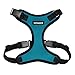 Voyager Step-in Lock Dog Harness - Adjustable Step-in Vest Harness for Small and Large Dogs - Turquoise , XL (Chest: 22 - 36