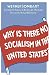 Why is there no Socialism in the United States?