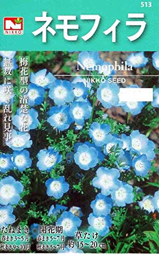 Amazon.co.jp: 日光種苗 ネモフィラ （インシグニスブルー）の