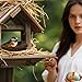 Sukh 2PCS Handmade Rattan Bird Nests - Artificial Bird Nests Easter Decorations,Rattan Bird Nest Decorations for Easter,Garden,Home,Wedding,Party,DIY Crafts,Table,Indoor and Outdoor