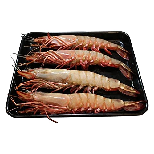 ΂̒s  VRLGr 8 1.5kg Ⓚ  CV