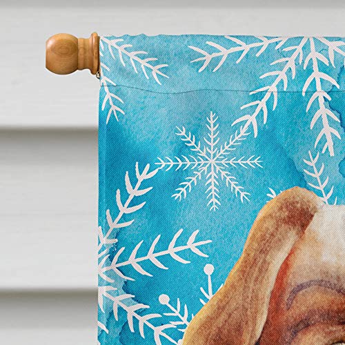Drapeau Cavalier Spaniel grand format pour remplacer les décorations extérieures fragiles - 4