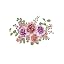 Rose Flower