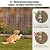 No Dig Garden Fence Panels, Dog Fence Outdoor for Yard, 10 Panels with Gate