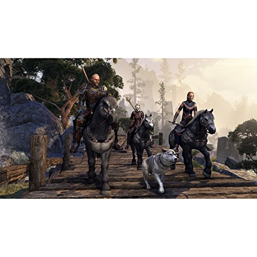The Elder Scrolls Online : Morrowind PS4 - vue 7