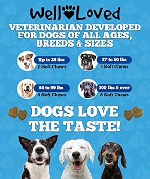 Well Loved Calming Chews for Dogs - Dog Calming Treats, Made in USA, Vet  Developed, Dog Anxiety Relief, Separation, Fireworks, Travel & Stress ...