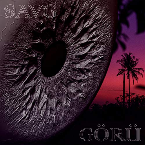  Görü