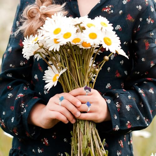 BelleVive 2 Stück Stimmungs-Dinosaurier-Ringe-Set, Farbwechsel, Emotionsgefühl, Temperatur, Fingerring, verstellbar, Tier, lustiger Schmuck, Party-Spielringe, Geburtstagsgeschenk