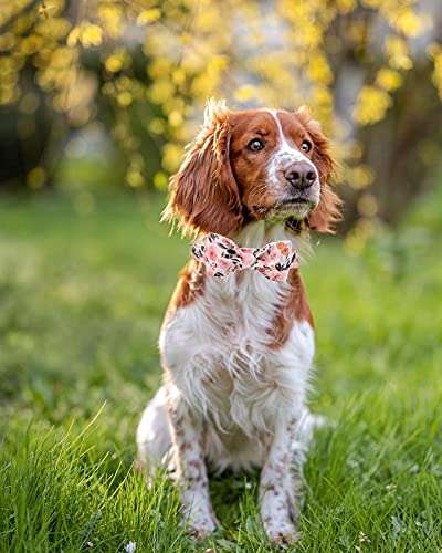 Elegantes Rosa Blumen-Hundehalsband, bequemes Hundehalsband mit Schleife, für X-Small-Welpen