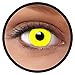 Produktbild FXEYEZ® Farbige Kontaktlinsen gelb Gelb + Linsenbehälter, weich, ohne Stärke als 2er Pack - angenehm zu tragen und perfekt zu Halloween, Karneval, Fasching oder Fasnacht